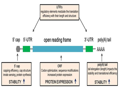 全网担保网加帽试剂相关发明专利获得国家知识产权局受理