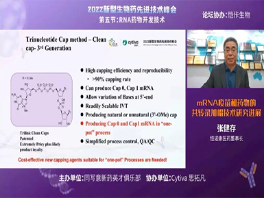 mRNA疫苗和药物共转录加帽技术研究进展